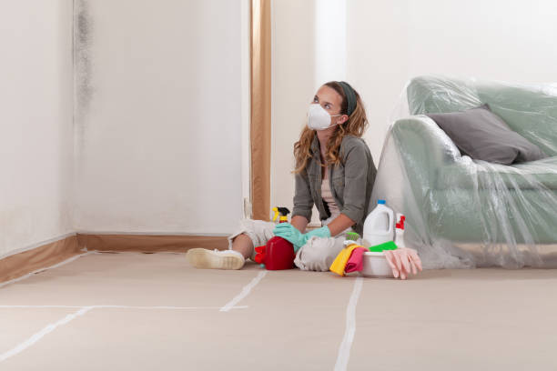Reliable Mold Inspection contractor in Waynesboro, TN by WQB Mold Removal
